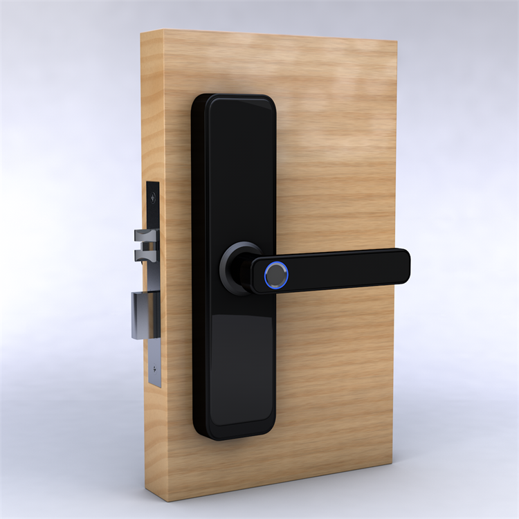 home digital keyless wireless password  card swipe electronic fingerprint smart Tuya APP door lock